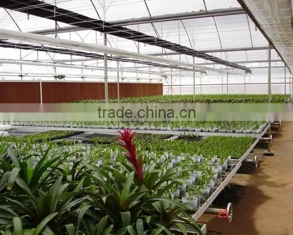 High Quality Lower Energy Plastic Water Trays Flow Rolling Bench for Growing photo-6