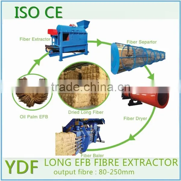 Hot Sale High Performance Coconut Coir Machine photo-5
