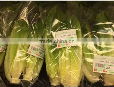 Fulll Automatic Vegetable Packing Machine for Holland or Finland Market photo-6