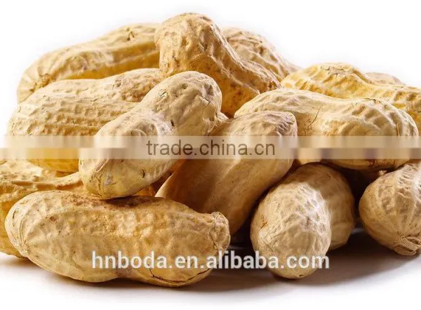 Cashew Nut Hot Air Machinery photo-5