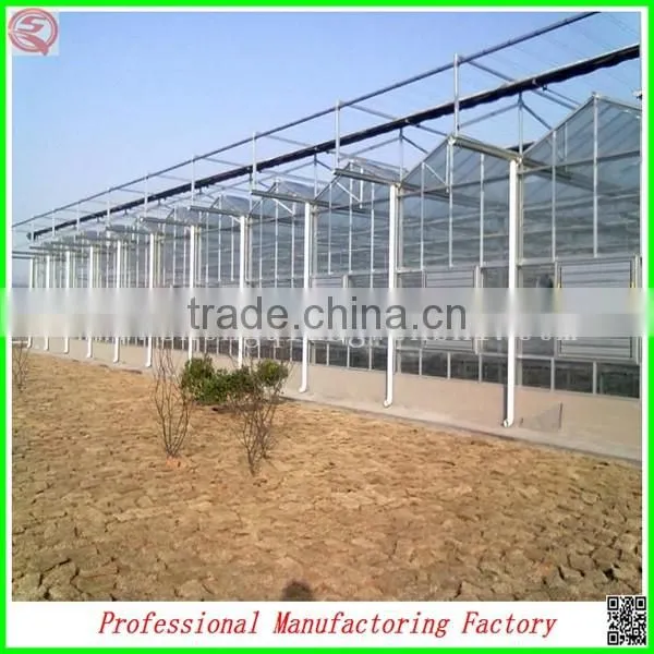 Large Muti-span Polycarbonate Sheet Greenhouse for Tomatos photo-4