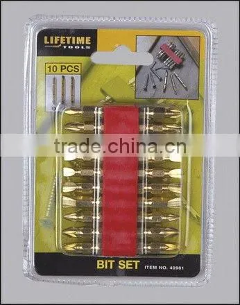 10pc double ended bit set