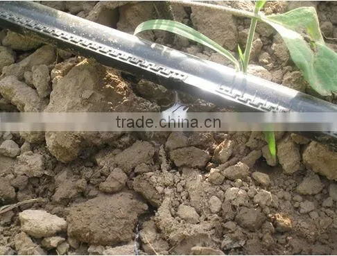 Drip Irrigation Tape Drip Irrigation Pipe photo-3