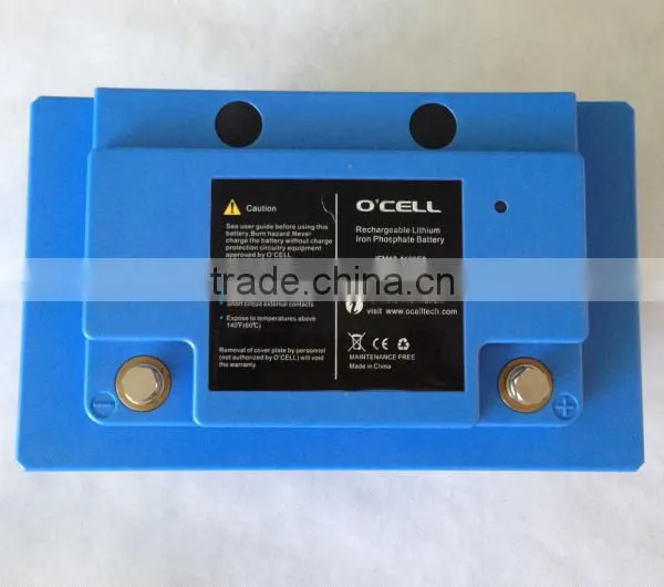 12V Lithium Iron Phosphate Battery 100Ah for Solar Energy / LiFePO4 12V 100Ah Battery Pack photo-2