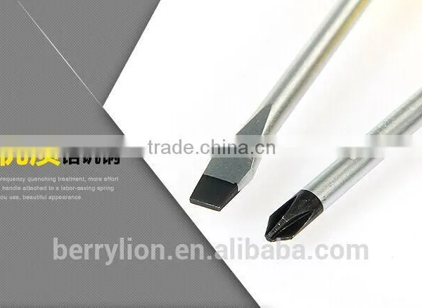Berrylion COMBINATION SCREWDRIVER 6*100 SCREWDRIVER CR-V Dual Head Screwdriver photo-5