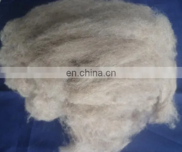 Carded and Dehaired Raccoon Hair for Spinning photo-4