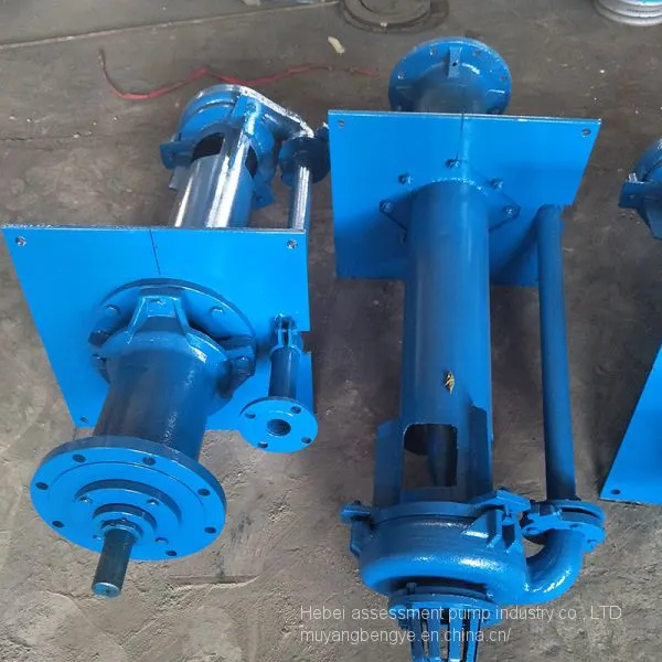 SP (R) Type Liquid Slurry Pump Under 40 pv - SP Vertical Centrifugal Pump photo-4