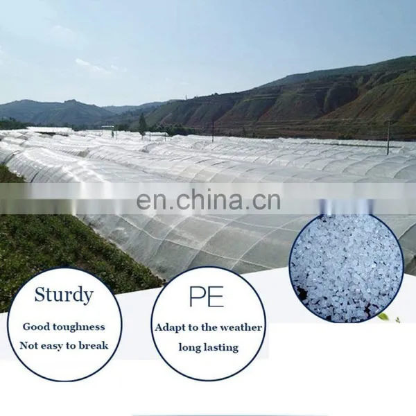 Factory Direct 55gsm 65gsm 70gsm Anti Insect Screen Hdpe Greenhouse Agricultural Protect Insect Proof Mesh Fine Net photo-4