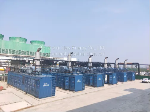 Low Rpm High Efficiency Biomass Gas Biogas Syngas Power Generator photo-5