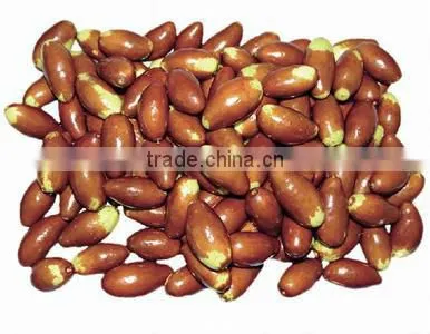 Cherry Tomato Grading Machine/Tomato Grading Machine photo-6