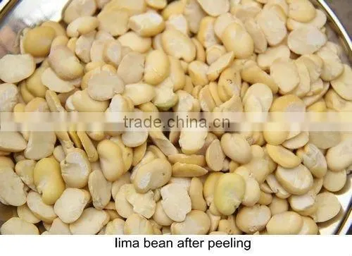 High Quality Bean Skin Peeling Machine/soybean Skin Removing Machine for Sale photo-3