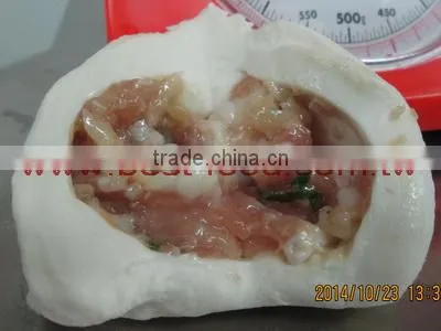 TY-812 Chinese Meat Bun Making Machine photo-3