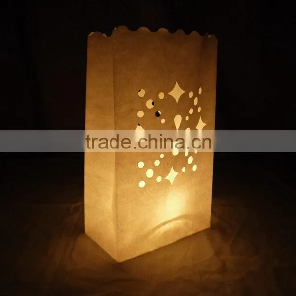 China Best Choice Cheap Price Luminary Candle Bags photo-4