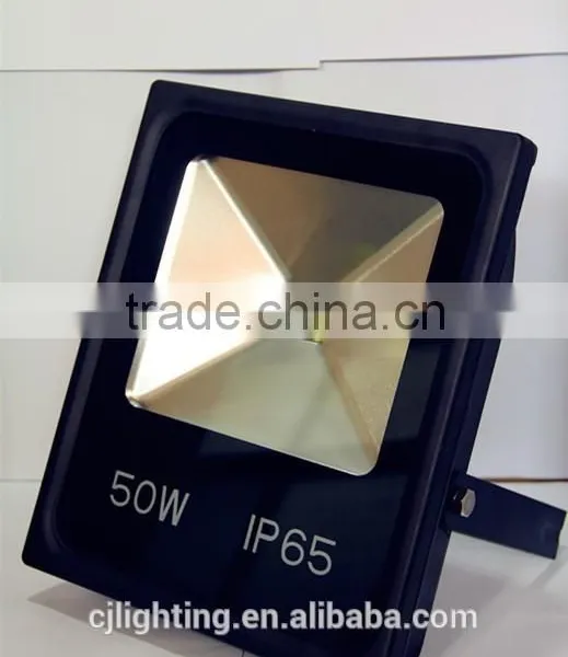 50W High Efficiency COB Flood Light