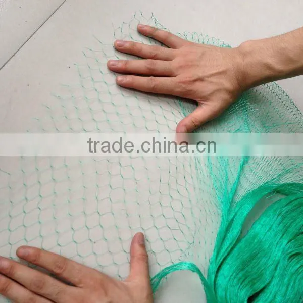 100%PP UV Stabilised Anti Bird Net for Manufacturing photo-4