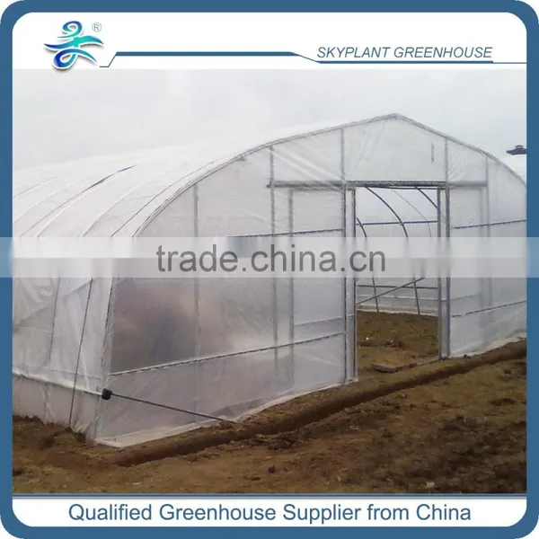 Cheap Single Span Plastic Greenhouse for Agriculture photo-2