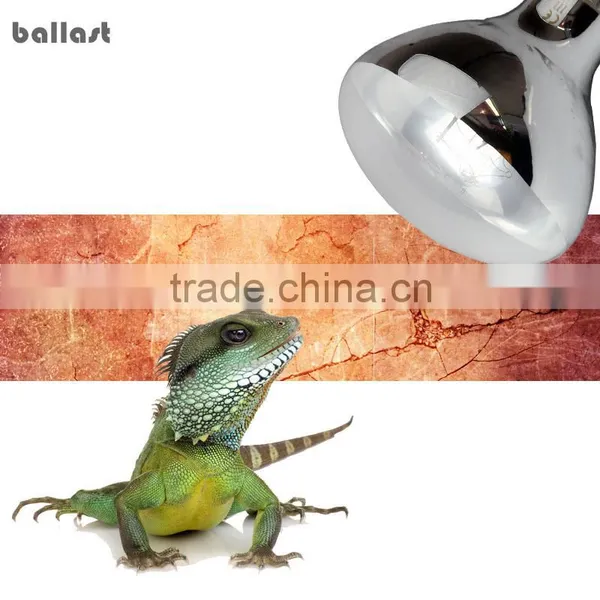Wholesale Special Reptile Sunlight Lamp Light Reptile Uvb Quality Choice
