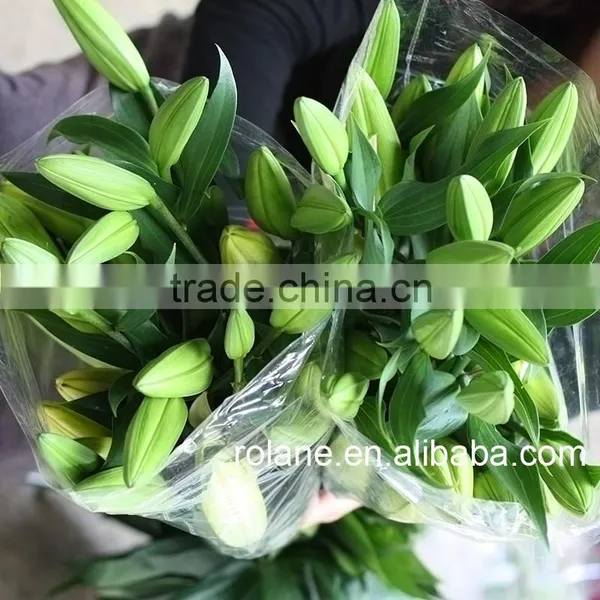 High-Level High Quality Fresh Flower Lily To The Beloved photo-5