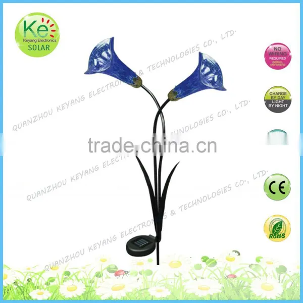 Outdoor Decorative Solar Led Light for Garden photo-2