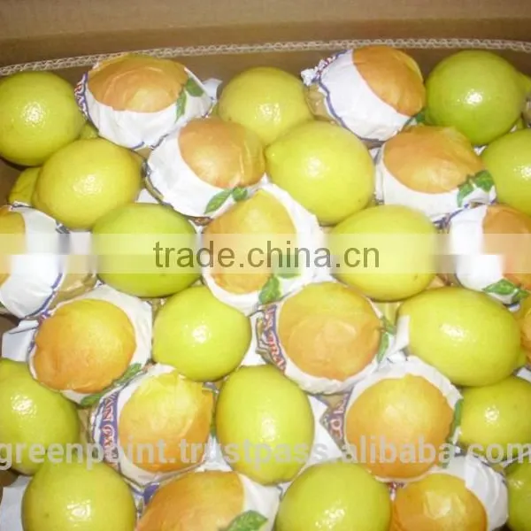 Lemon photo-4