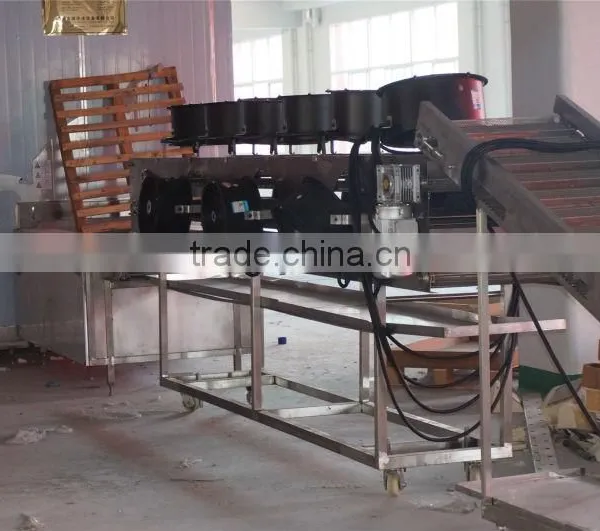 Automatic Falafel Processing Line photo-6