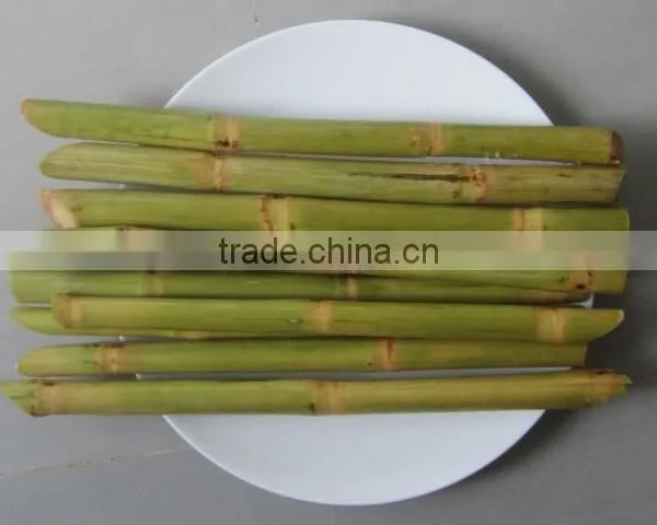 Frozen Sugarcane From VietNam QQ : 2598494113 photo-4
