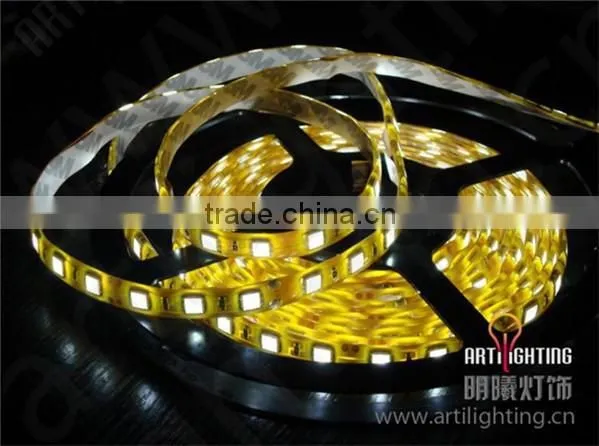 High Brightness Outdoor Solar Strip Light photo-6