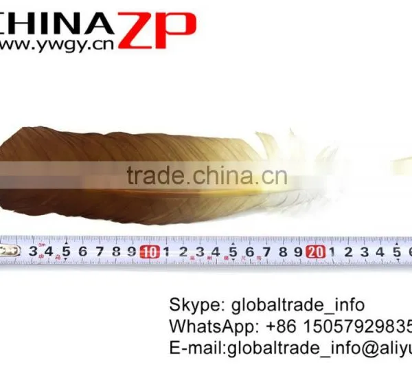 Leading Supplier CHINAZP Wholesale Plume Dyed Bulk Gold Metallic Half Dipped Bicolourable Turkey Feathers photo-4