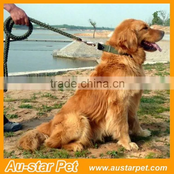 Fashionable Strong Nylon New Dog Leash photo-4