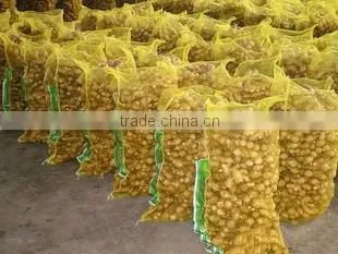 2016 Chinese Fresh Ginger for Hot Selling photo-5