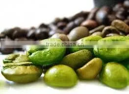 Green Coffee Beans From Ethiopia photo-2