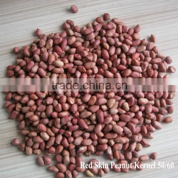 Wholesale Big Size Blanched Peanut Kernels(ground Nut Seeds) photo-5