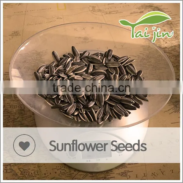 Sell Organic Chinese Sunflower Seeds Long Shape photo-3