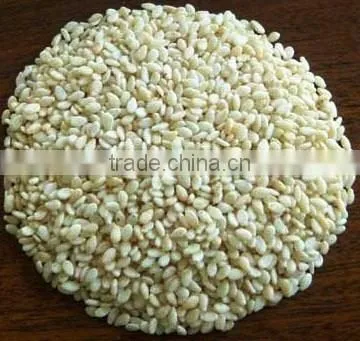 Superior Quality of Hulled Sesame Seeds for Importers