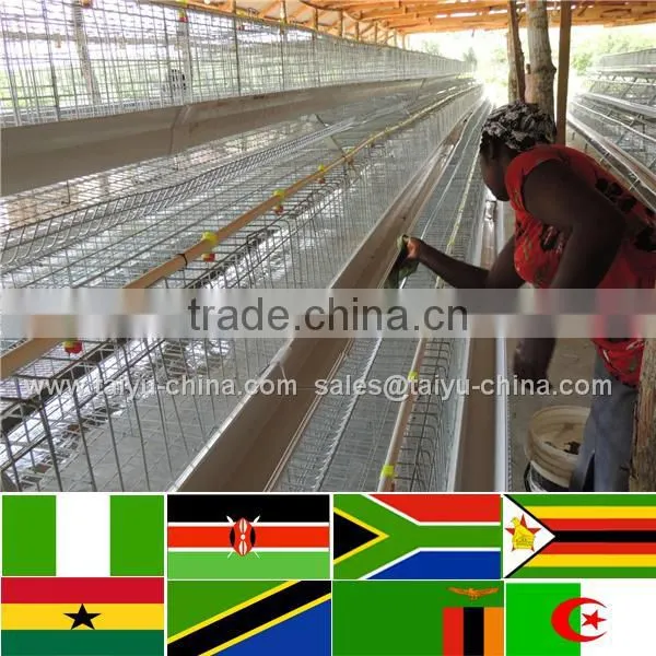 Trade Assurance NO.1 Design 50000 Chicken House 4tier Poultry Cage photo-5