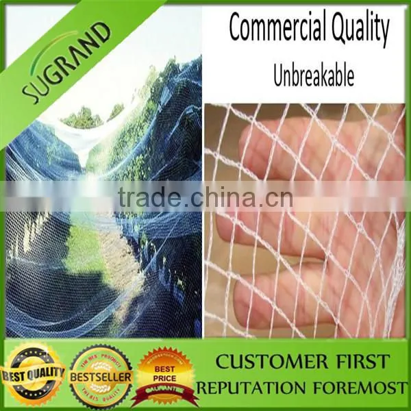 100% HDPE UV Agricultural Anti Bird Net / Fruit Tree Anti Bird Net photo-3