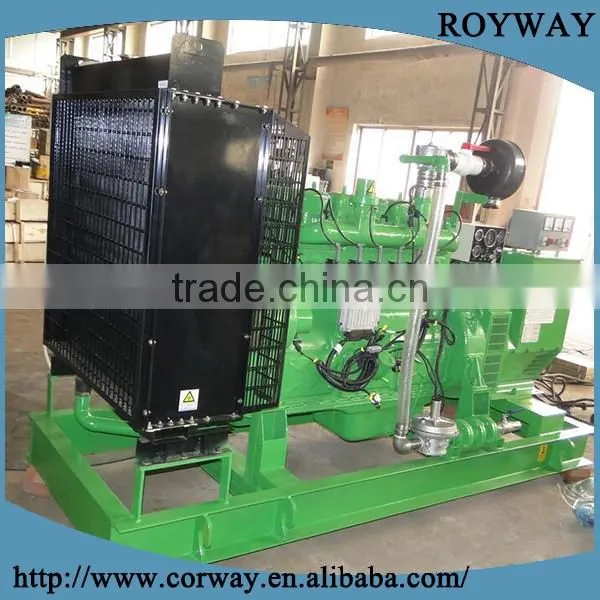 Biogas Driven Generator photo-2