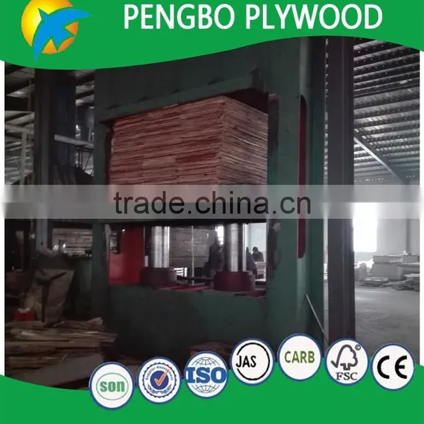 Best Selling 4x8 High Quality Laminated Wood Furniture Plywood for Indoor Usage photo-4