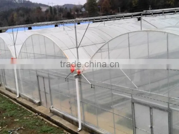 Polycarbonate Greenhouse Siding photo-2