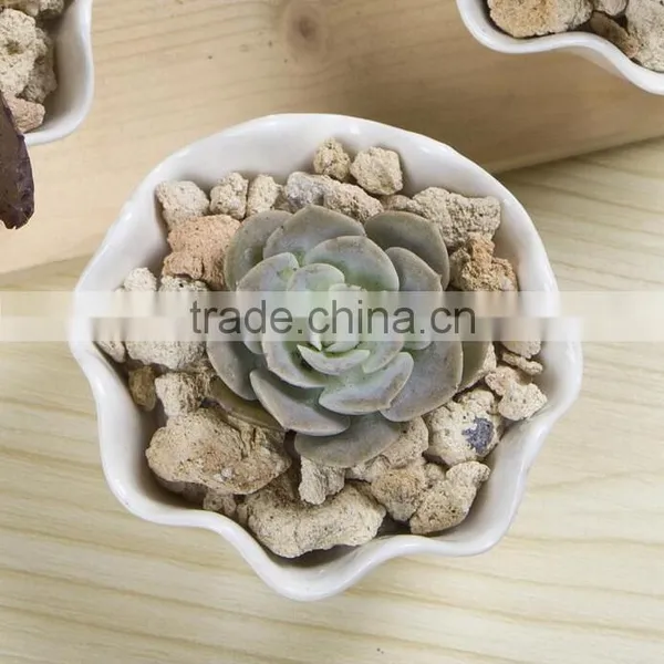 Creative Zakka White Ceramic Indoor Planters for Succulents photo-3