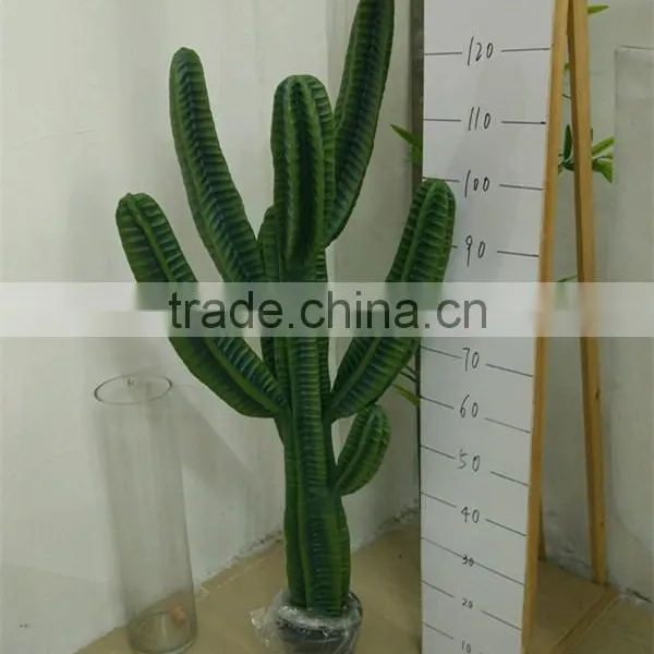 CHY030929 Landscaping Decprative Cactus/Real Touch Lucky Cactus Sale photo-3