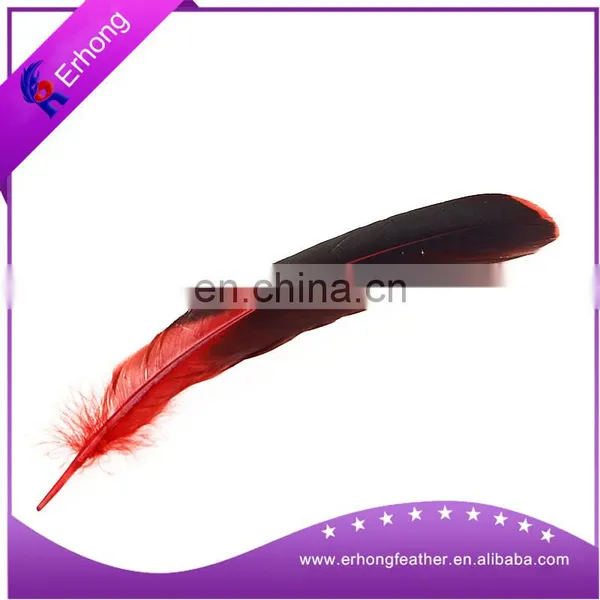 Different Color for Choice of the Dyed Natural Turkey Feather Decoration photo-3