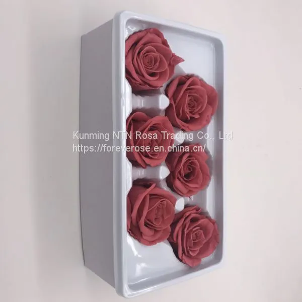 Preserved Fresh Flower Home Decoration Wedding Gifts photo-5