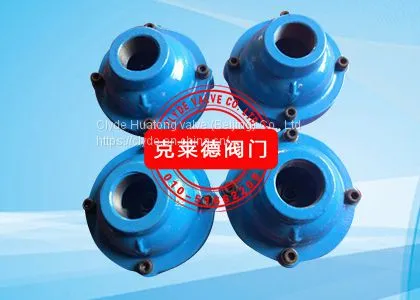 CLYDE Check Valve 1” A2969 photo-2