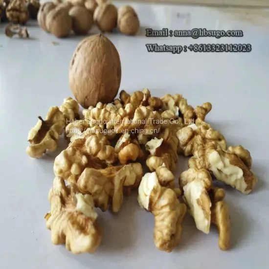 Various Sizes Walnut Kernels Supplier First Quality Walnut Kernel