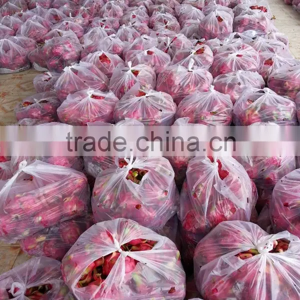 White Flesh Fresh Dragon Fruit From Vietnam/ Pitaya photo-2