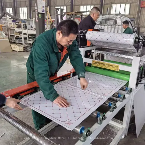 Small Scale Gypsum Board Lamination Machine 600*600 Gypsum Ceiling Tiles Making Machine photo-2