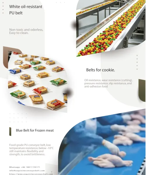 Directly Touch Food Grade Belt. photo-3