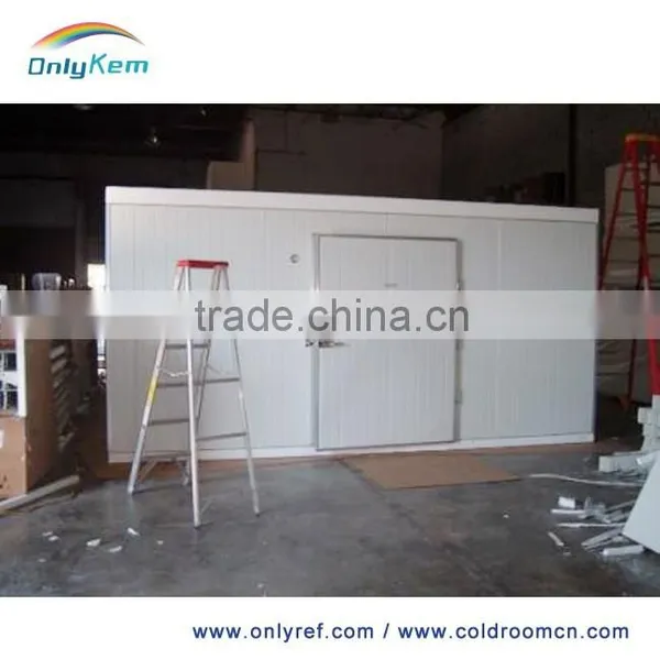 China Commercial Freezer for Fish and Chicken photo-6