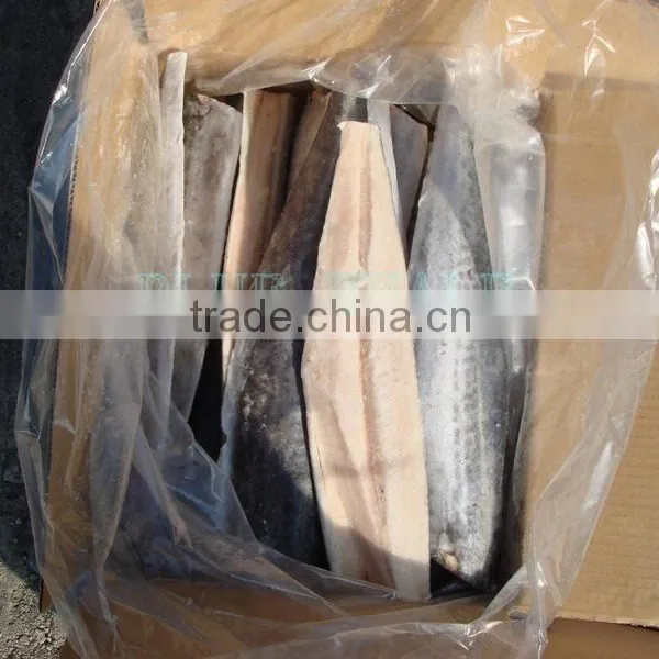 Deep Processed IQF Frozen Spanish Mackerel Fillet photo-3